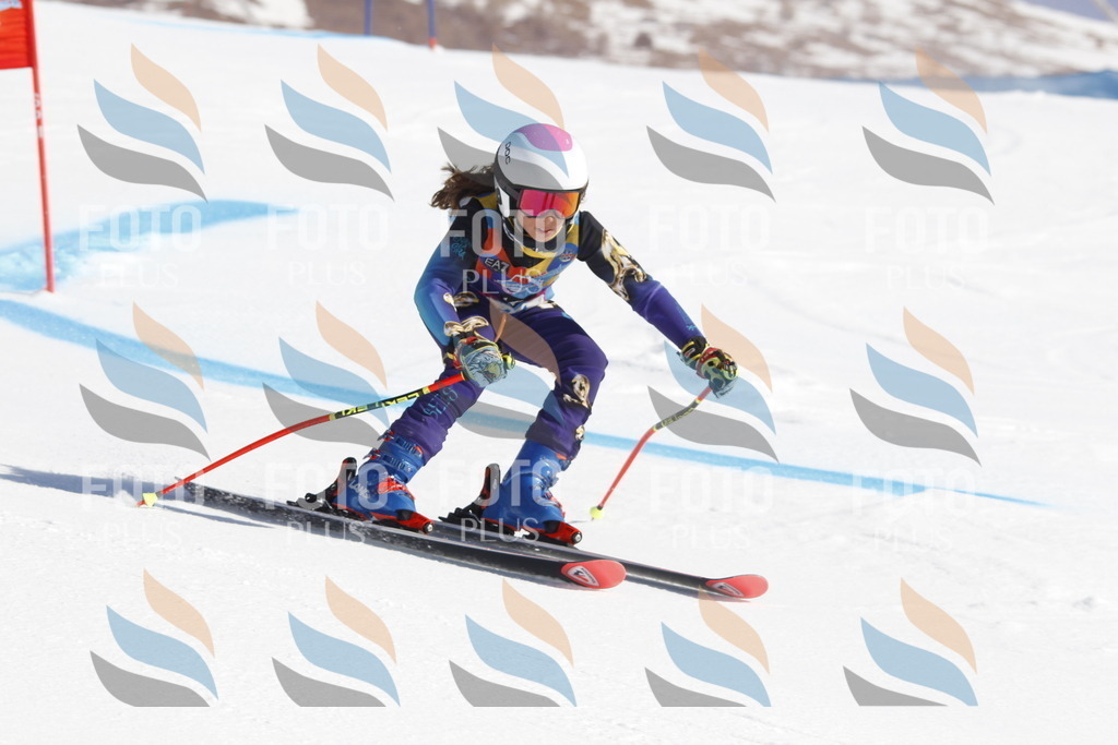 _U3G8675 | holidayphoto