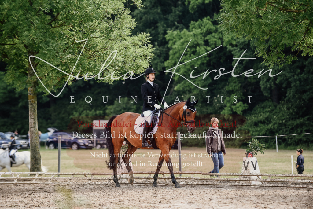 DSC_9753 | Pferde- und Turnierfotografie in Westsachsen. Pferdeportraits, Auftragszeichnungen und intuitive Kunst.