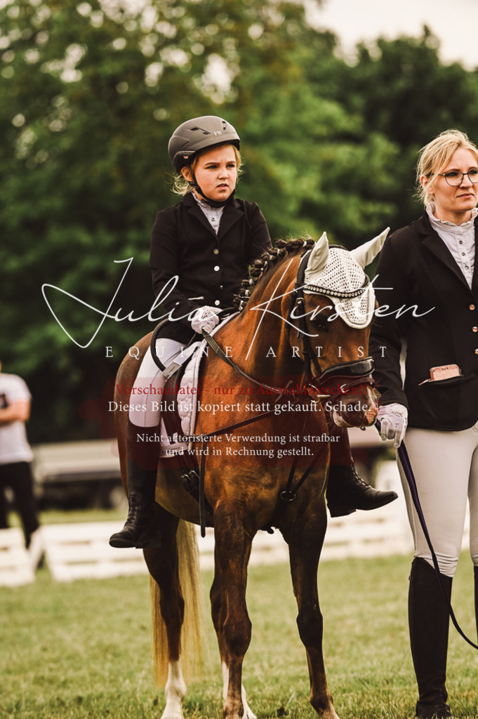 DSC_5266 | Pferde- und Turnierfotografie in Westsachsen. Pferdeportraits, Auftragszeichnungen und intuitive Kunst.
