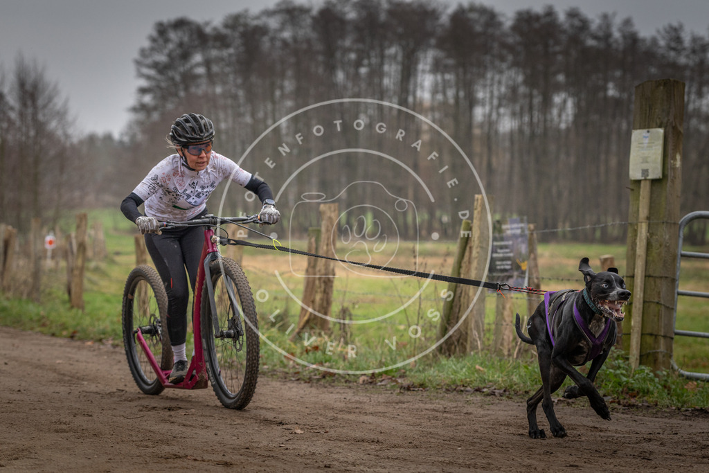 Pfotenfotografie_DV3A2327 | Hundefotografie, Tierfotograf, Pfotenfotografie, Fotoshooting Hund, Hunde Portrait, Hundesport, Hundeportraits, Heideshooting, Hunde, Sportfotograf, Hundefotograf, Turnierhundsport, THS,  - Realisiert mit Pictrs.com