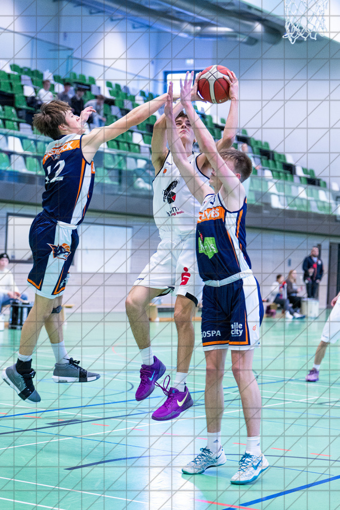 JBBL 24/25 | 19.01.2025 | Charisma Young Bulls vs. Rostock Seawolves | JBBL 24/25 | 19.01.2025 | Charisma Young Bulls vs. Rostock Seawolves - - - - - CREDIT, www.bullenfotos.de, Martin König, Hörner Weg 40, D-49078 Osnabrück, +4917663732967, Nutzung und Weitergabe nur zu den vereinbarten Zwecken. Presseanfragen an Urheber. Alle Rechte beim Urheber. - - - - - - Realisiert mit Pictrs.com