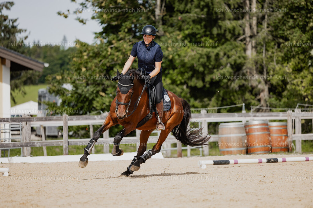 Nadine22_FHC2025-134 | working equitationturnier fotograf videograf stoibphotography marixx film working equitation deutschland reitsport turnierfotografie eventfotografie equestrian events