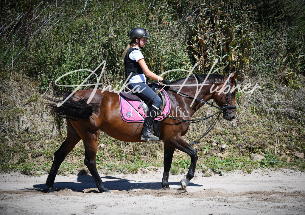 DSC_0813 | anikahuebner - Realisiert mit Pictrs.com