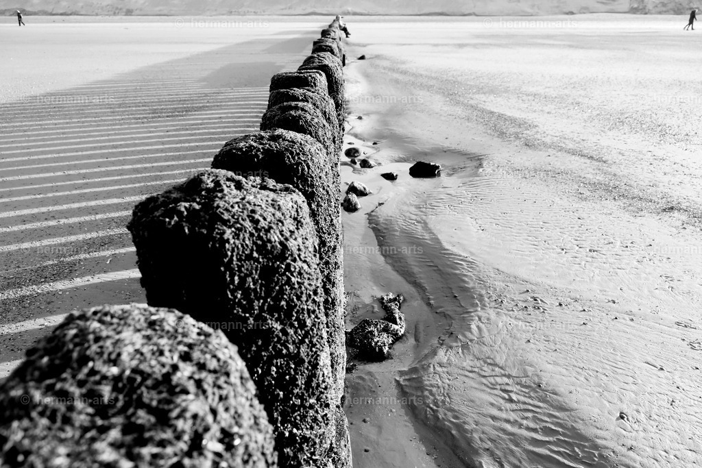 Hermann-Arts_Seaside_203 | Photo Foto Kunst Art schwarzweiss Bilder Rheine Münster Berlin Blumen 