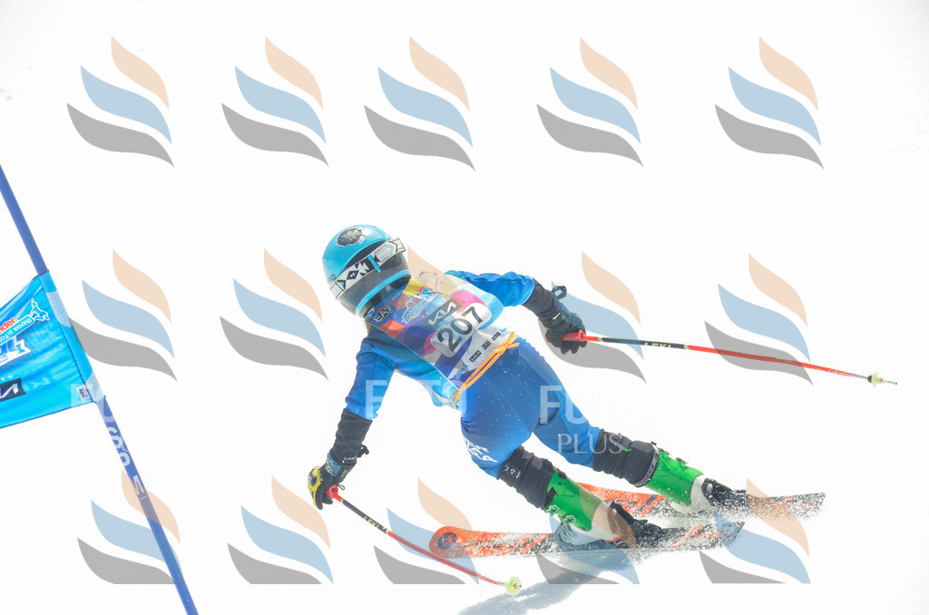 _ELE7013 | holidayphoto