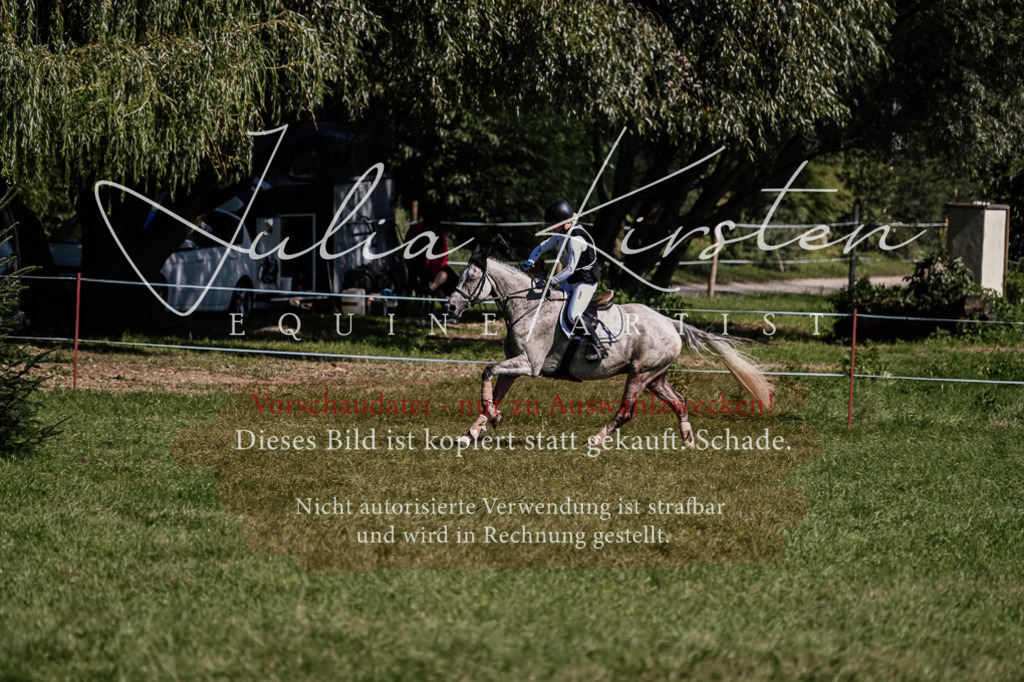 DSC_1388 | Pferde- und Turnierfotografie in Westsachsen. Pferdeportraits, Auftragszeichnungen und intuitive Kunst.