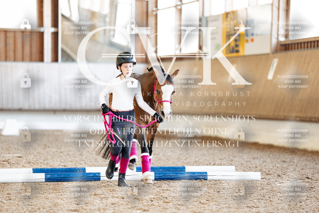 CK905542 | Turnierfotografie Pferdefotografie Trier Rheinland-Pfalz Pferdesport Reitsport Tierfotografie Sportfotografie Pferdevideo Pferdevideografie Equestrianvideography equestrianphotography  - Realisiert mit Pictrs.com