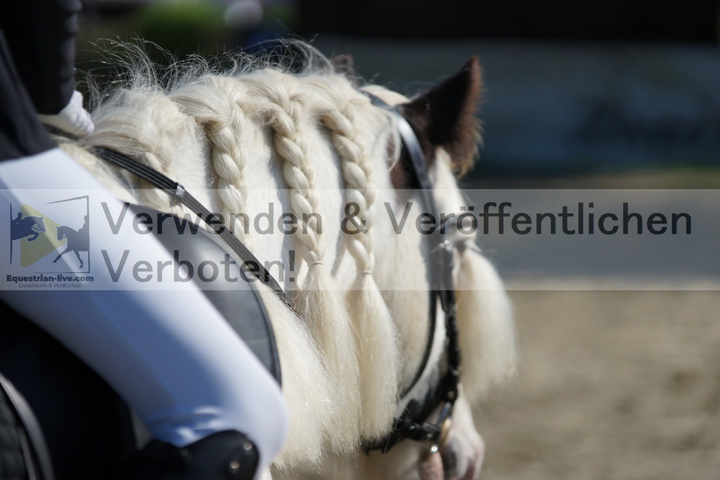 DSC06065 | equestrian-live-com
