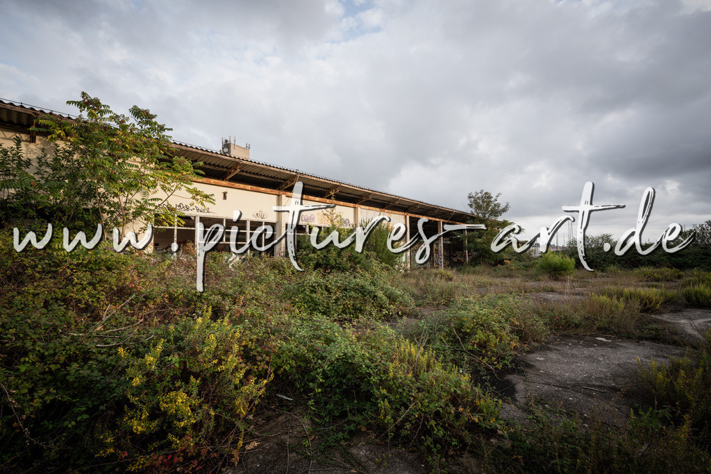 DSC04614 | pictures-art.de