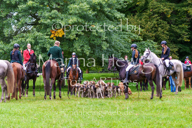 Jagd Perdoel 26 Sony-04182_MarinaHewig | Fotografie, FotoArt, PferdesportArt, Pferdesportfotografie, Landschaftsfotografie, Reisefotografie, Reise, Pferde - Realisiert mit Pictrs.com