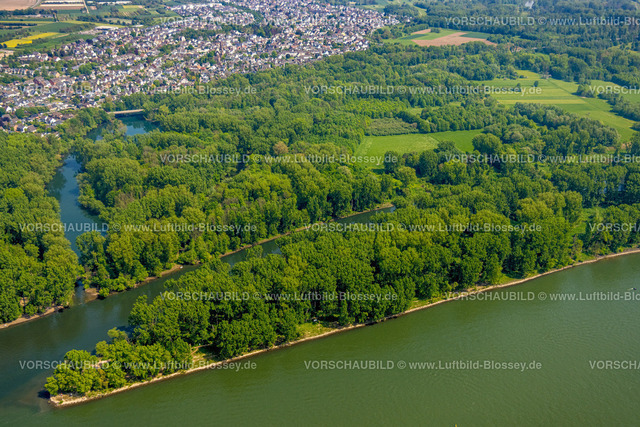 Bonn240501569Siegmuendung | Luftbild, Fluss Rhein und Fluss Sieg mit Siegmündung und Waldgebiet Siegaue, Diescholl Altarm der Sieg und Waldgebiet, Ortsansicht Mondorf und Bergheim, Schwarzrheindorf, Bonn, Nordrhein-Westfalen, Deutschland