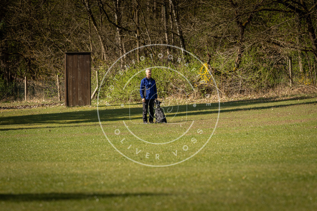 Pfotenfotografie_DV3A0374 | Hundefotografie, Tierfotograf, Pfotenfotografie, Fotoshooting Hund, Hunde Portrait, Hundesport, Hundeportraits, Heideshooting, Hunde, Sportfotograf, Hundefotograf, Turnierhundsport, THS,  - Realisiert mit Pictrs.com
