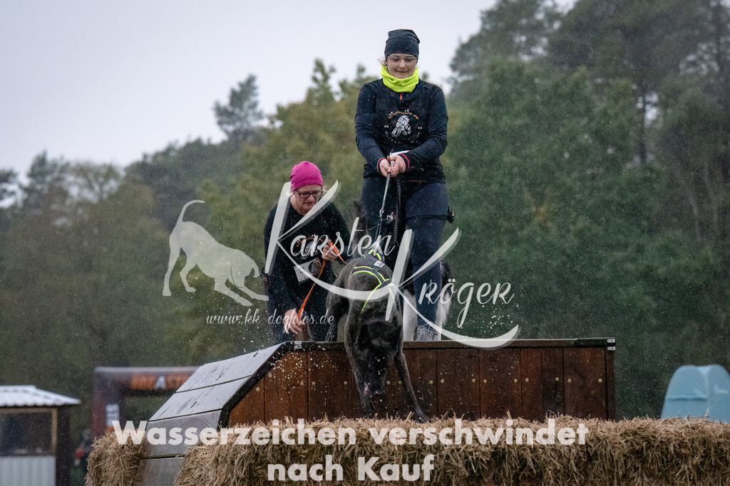 0829-_ZZ91434-Bearbeitet | kk-dogfotos