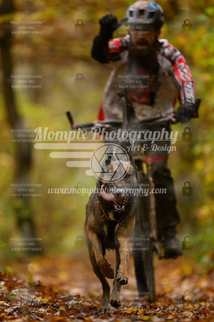 MompixPhotography_CD7S_DI_Bike-41 | mompixphotography