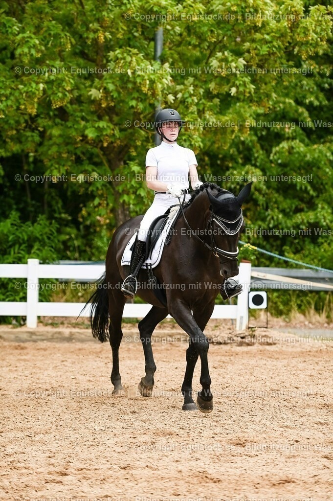 20230715_05_Dressurprüfung Kl.A++_0306 | equistock
