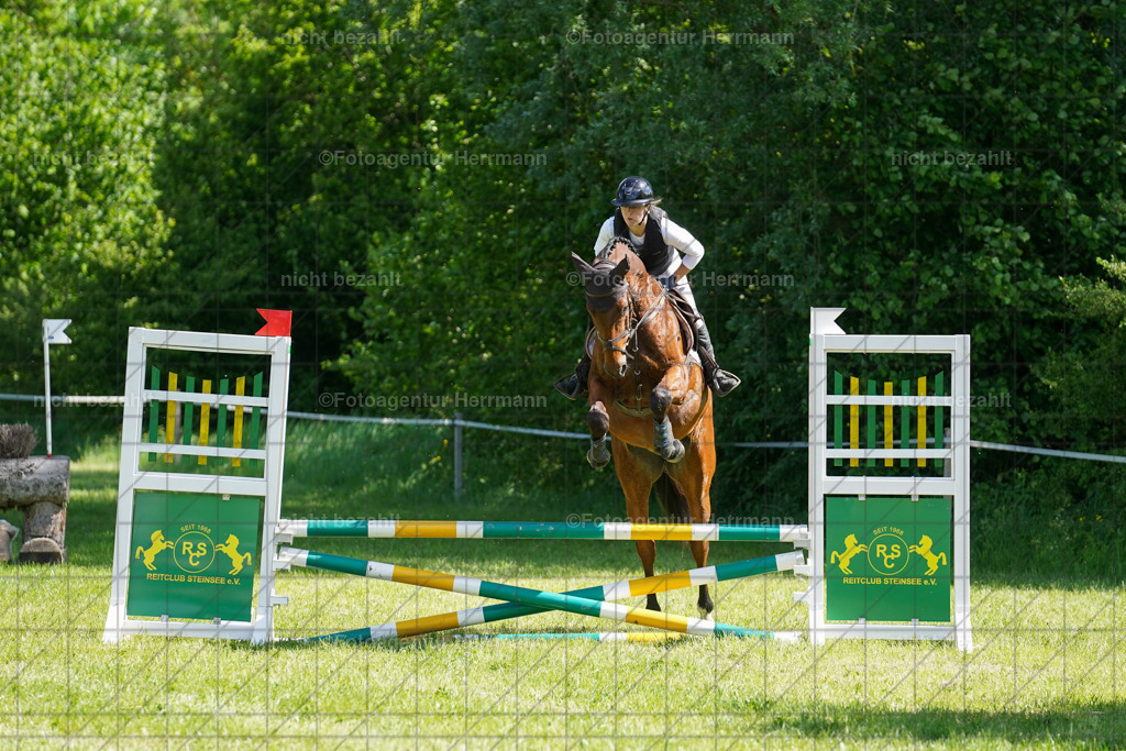 20240518-FAH03123 | rbilder, Turnierfotografen ayern, Fotoagentur Herrmann, Geländeturnier, Springbilder, Dressurbilder, Jungpferdefotograf