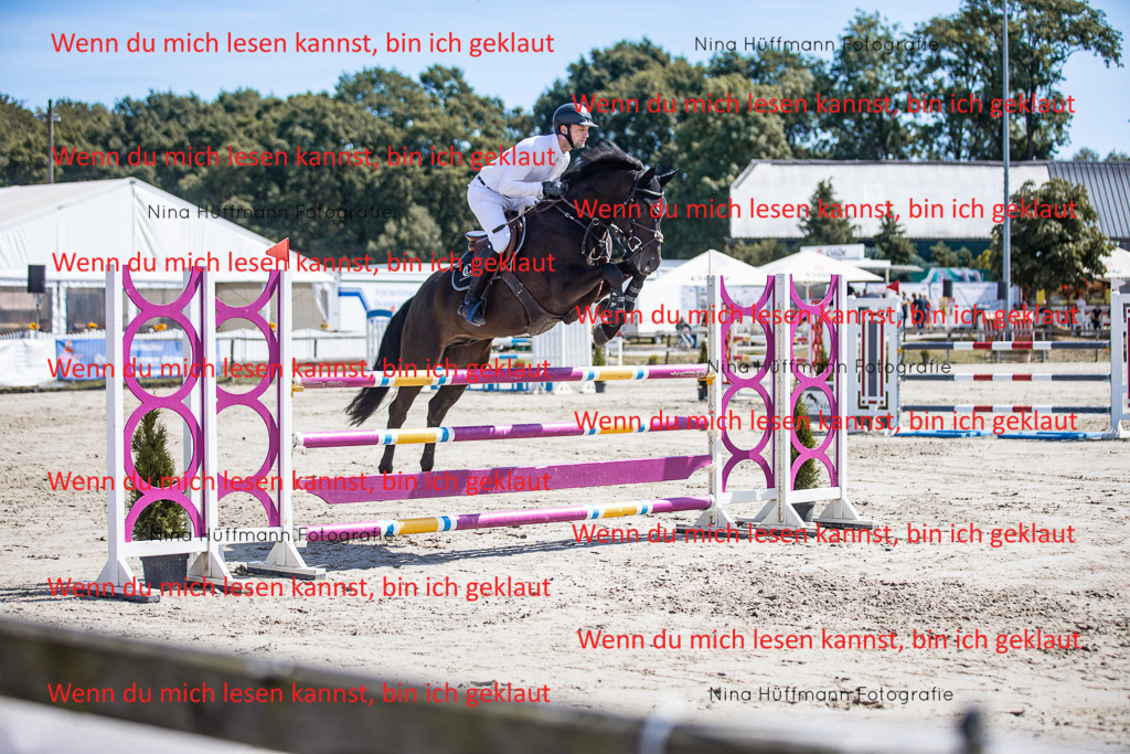 BK1A6349 | Turnierbilder Turnierfotos Nina Hüffmann Turnierfotografie Pferdefotografie Tierzeichnung Haustierzeichnung Pferdezeichnung Hundezeichnung Videograf  - Realisiert mit Pictrs.com