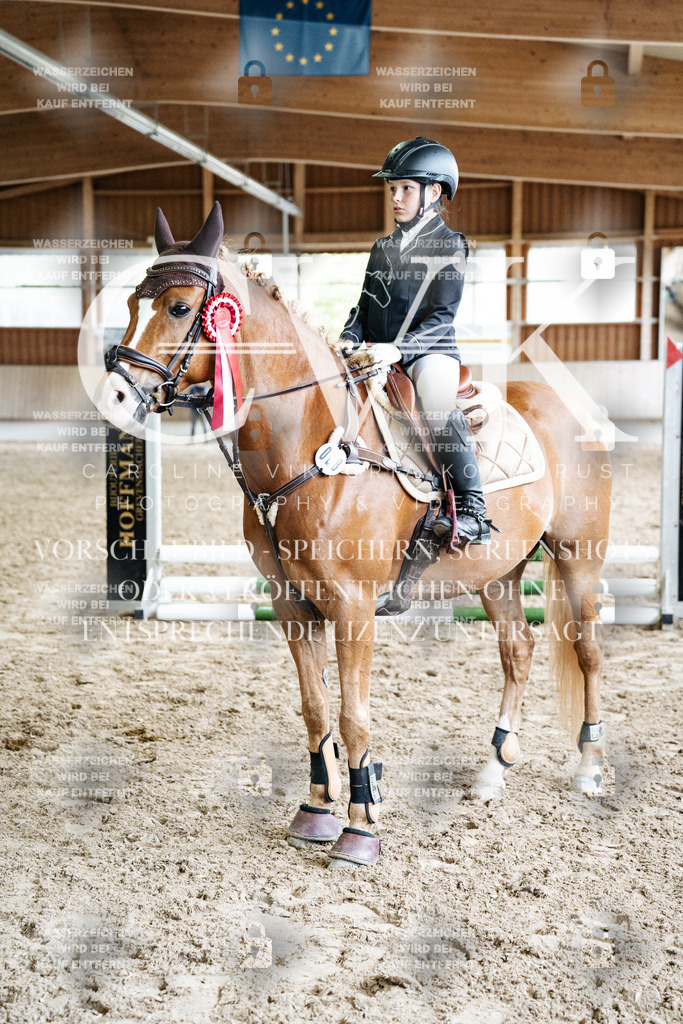 CK703442 | Turnierfotografie Pferdefotografie Trier Rheinland-Pfalz Pferdesport Reitsport Tierfotografie Sportfotografie Pferdevideo Pferdevideografie Equestrianvideography equestrianphotography  - Realized with Pictrs.com