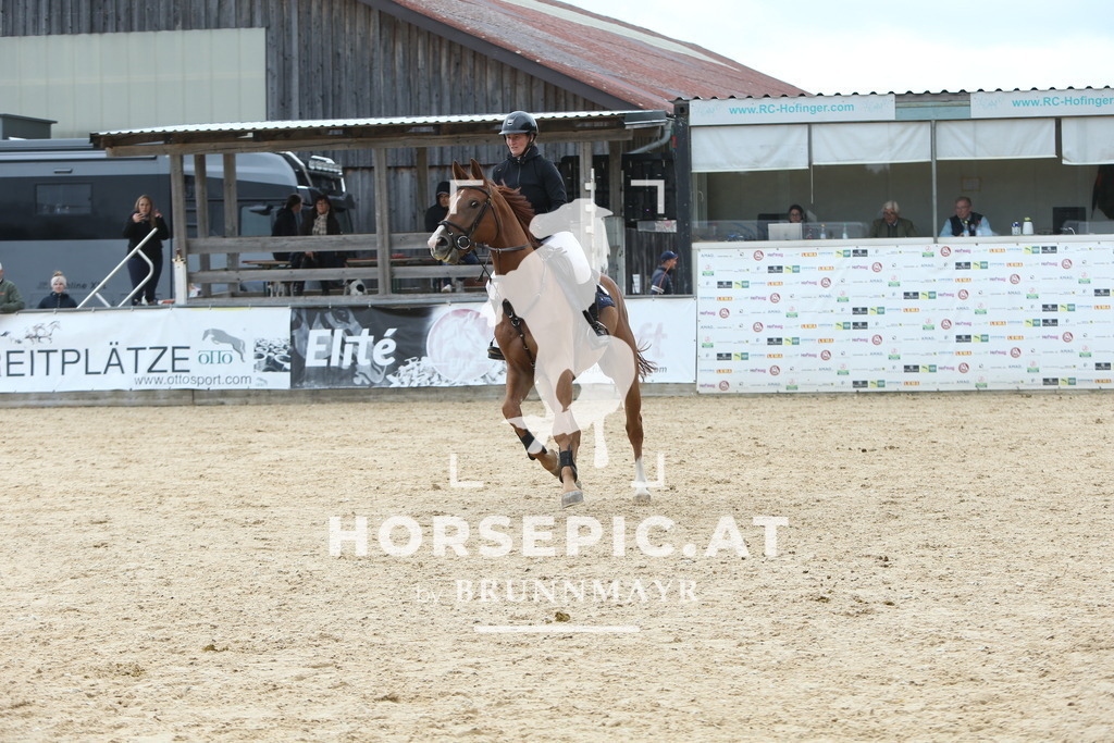 DL2Q1388 | Willkommen bei Brunnmayr - Design & Fotografie – Ihrem Spezialisten für Reitturniere und Pferdeveranstaltungen in Oberösterreich, Salzburg und Bayern! Seit über 17 Jahren sind wir leidenschaftlich dabei.