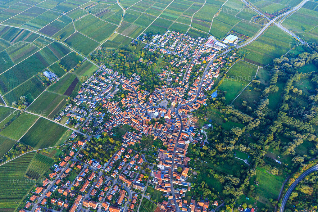 Luftbild: Ortsübersicht von Westen im Ortsteil Godramstein in Landau im Bundesland Rheinland-Pfalz in Deutschland. Foto: IMG_103547.jpg vom 21.09.2017 durch Werner Riehm/FLY-FOTO.de