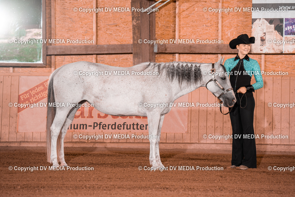 NE201504 | dv-media-shop - Realisiert mit Pictrs.com