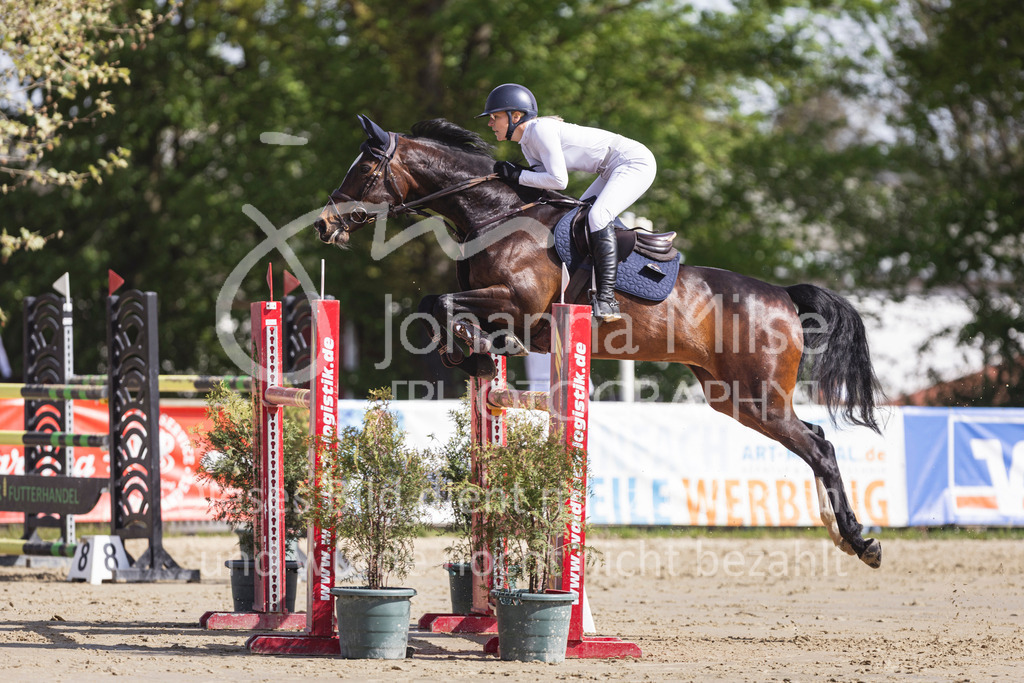260503_Spenge_7_M2-Spr-m-steig-Anf-752 | Deine schönsten Turniermomente als professionelle Fotos! Entdecke hochwertige Pferdesport-Fotografie im Online-Shop. Jetzt Fotos finden & bestellen!
