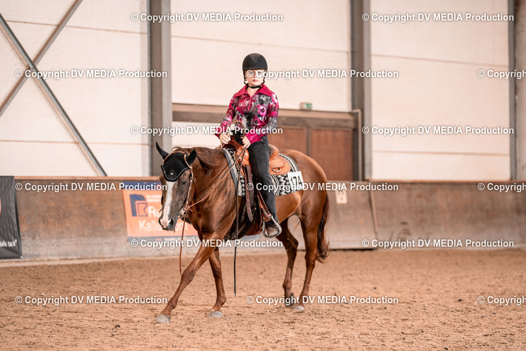 LM Heiligenwald Tag 1-507 | dv-media-shop - Realisiert mit Pictrs.com