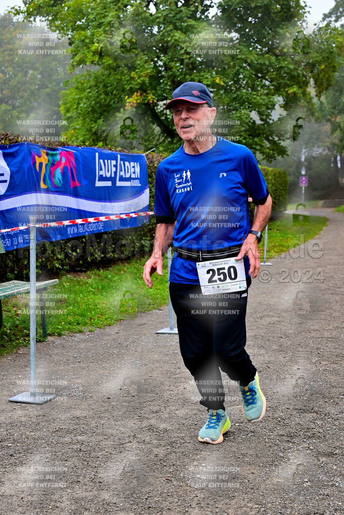 Z8N_2354 | la-psv - Realisiert mit Pictrs.com