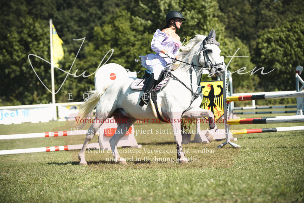 DSC_7562 | Pferde- und Turnierfotografie in Westsachsen. Pferdeportraits, Auftragszeichnungen und intuitive Kunst.