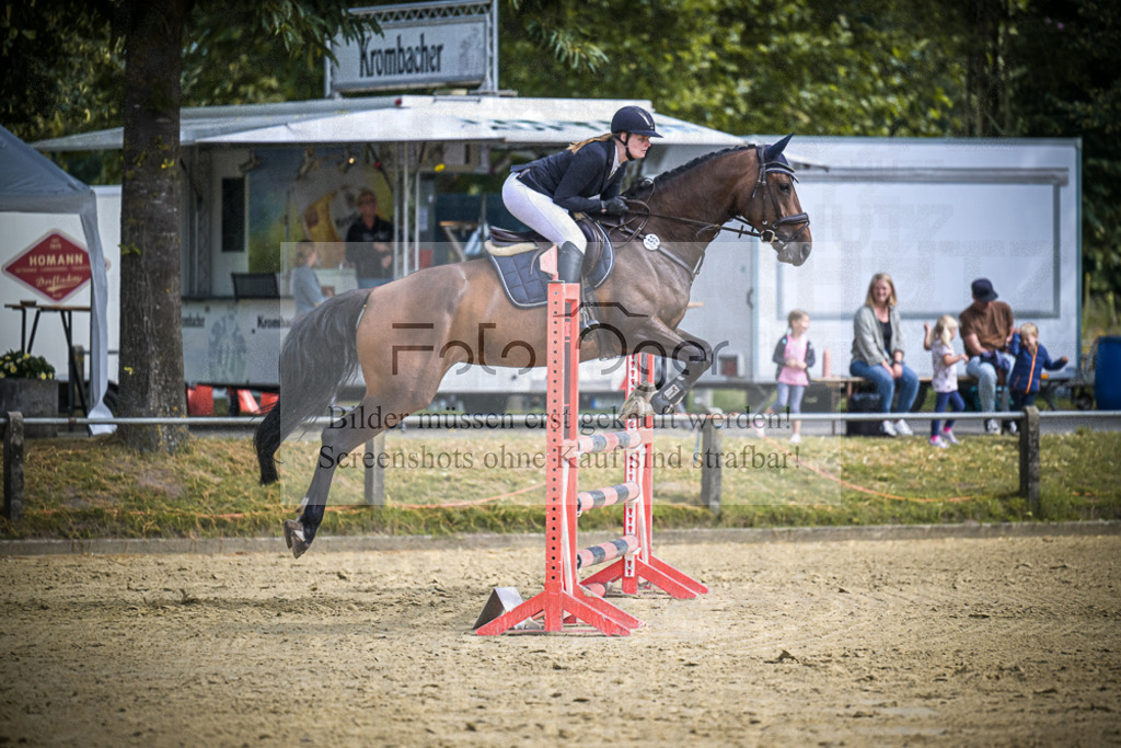DOS_6087 | Entdecke hochwertige Reitturnierfotos von Foto Oger. Professionell, emotional und authentisch – jetzt Lieblingsmomente im Shop bestellen.Deutschlandweite Turnierfotografie. - Realisiert mit Pictrs.com