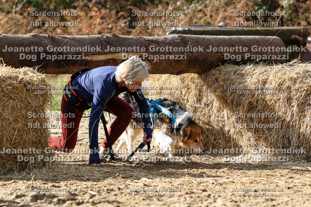 Dog Paparazzi - Strongdog 10-25-5566 | Dog Paparazzi Jeanette Grottendiek Fotografie & Videografie - Realisiert mit Pictrs.com