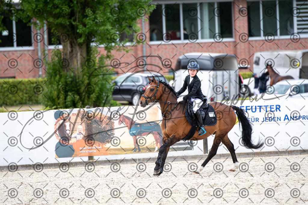 KPT_6347 | andre_photographic