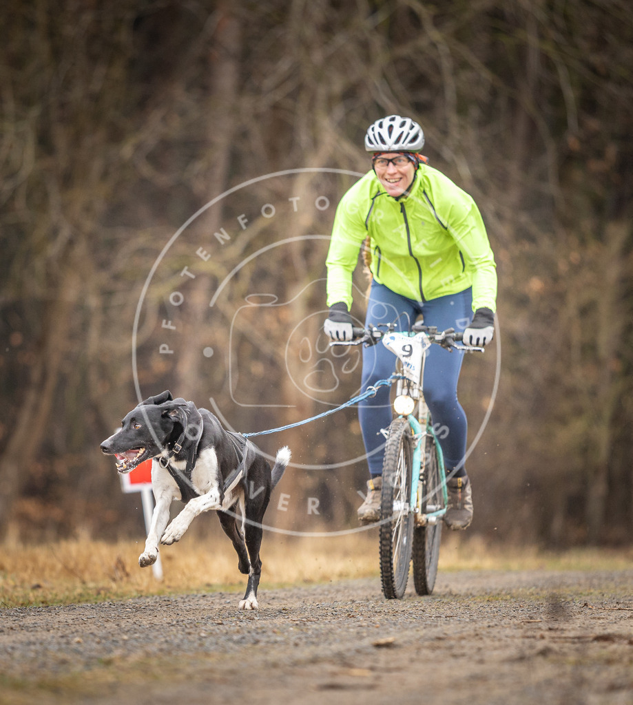 DV3A3202 | Hundefotografie, Tierfotograf, Pfotenfotografie, Fotoshooting Hund, Hunde Portrait, Hundesport, Hundeportraits, Heideshooting, Hunde, Sportfotograf, Hundefotograf, Turnierhundsport, THS,  - Realisiert mit Pictrs.com