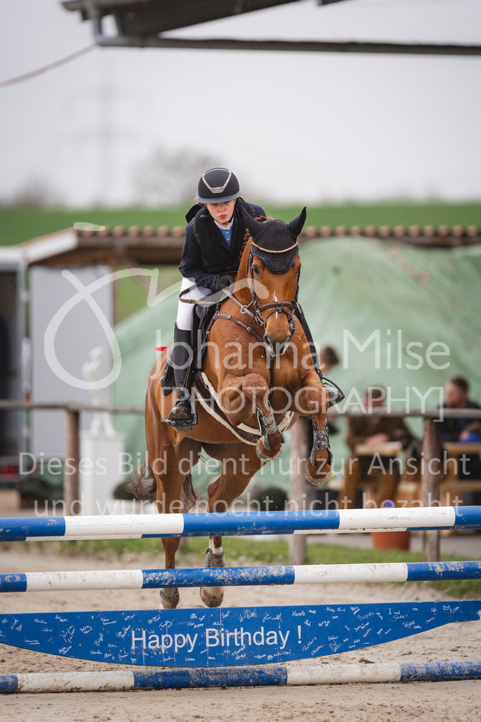 240330_Fruehlingsfest_Stil-A1_U30-392 | Deine schönsten Turniermomente als professionelle Fotos! Entdecke hochwertige Pferdesport-Fotografie im Online-Shop. Jetzt Fotos finden & bestellen!