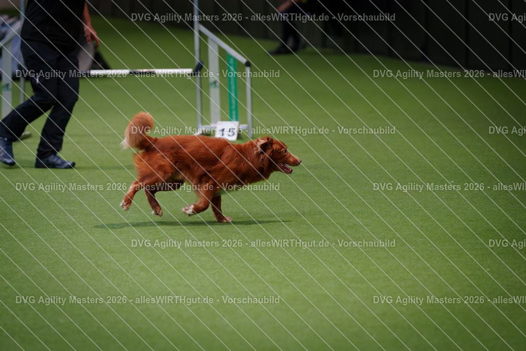 allesWIRTHgut_Tierfotografie-DVG_Agility_Masters_2026-08_23-7R500264 | Professionelle Tierfotografie in Mönchengladbach von Daniel Wirth (allesWIRTHgut). Liebevolle & natürliche Bilder von Hunden & Katzen für unvergessliche Erinnerungen.