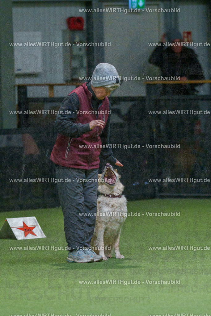 7R508029 | Professionelle Tierfotografie in Mönchengladbach von Daniel Wirth (allesWIRTHgut). Liebevolle & natürliche Bilder von Hunden & Katzen für unvergessliche Erinnerungen.