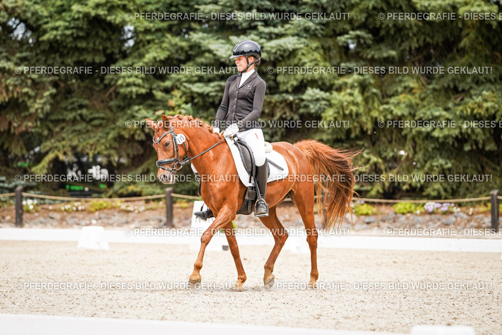 DSC04300 | Pferdegrafie