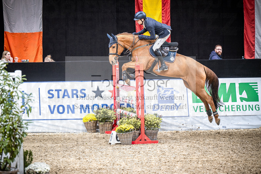 DOS_0487 | Entdecke hochwertige Reitturnierfotos von Foto Oger. Professionell, emotional und authentisch – jetzt Lieblingsmomente im Shop bestellen.Deutschlandweite Turnierfotografie. - Realisiert mit Pictrs.com