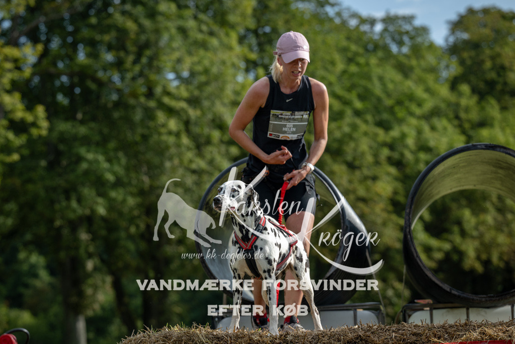 0932_ZZ90607 | kk-dogfotos