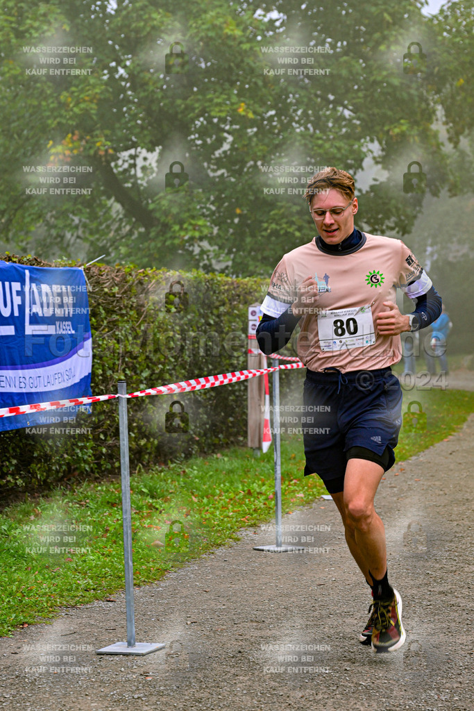 Z8N_1229 | la-psv - Realisiert mit Pictrs.com