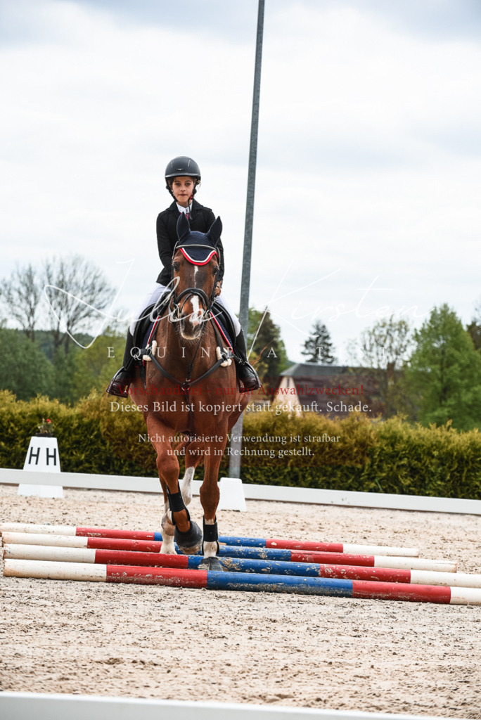 20230518_JK-Röhrsdorf-10-434 | Pferde- und Turnierfotografie in Westsachsen. Pferdeportraits, Auftragszeichnungen und intuitive Kunst.