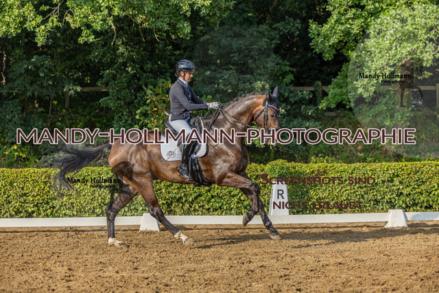 15.8.25 -9- DRE S-194 | mandyhollmannphotographie