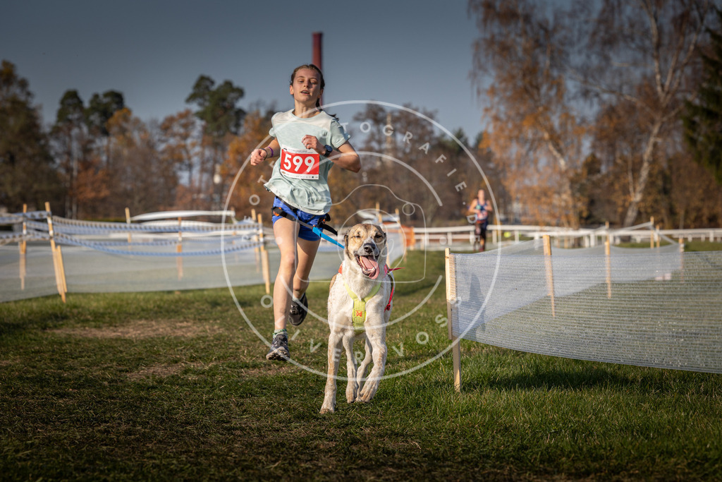 CaniXpix_0L8A0036 | Hundefotografie, Tierfotograf, Pfotenfotografie, Fotoshooting Hund, Hunde Portrait, Hundesport, Hundeportraits, Heideshooting, Hunde, Sportfotograf, Hundefotograf, Turnierhundsport, THS,  - Realisiert mit Pictrs.com