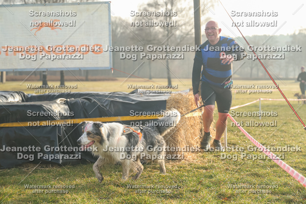 Dog Paparazzi - SD North Sa 830-900-46 | Dog Paparazzi Jeanette Grottendiek Fotografie & Videografie - Realisiert mit Pictrs.com