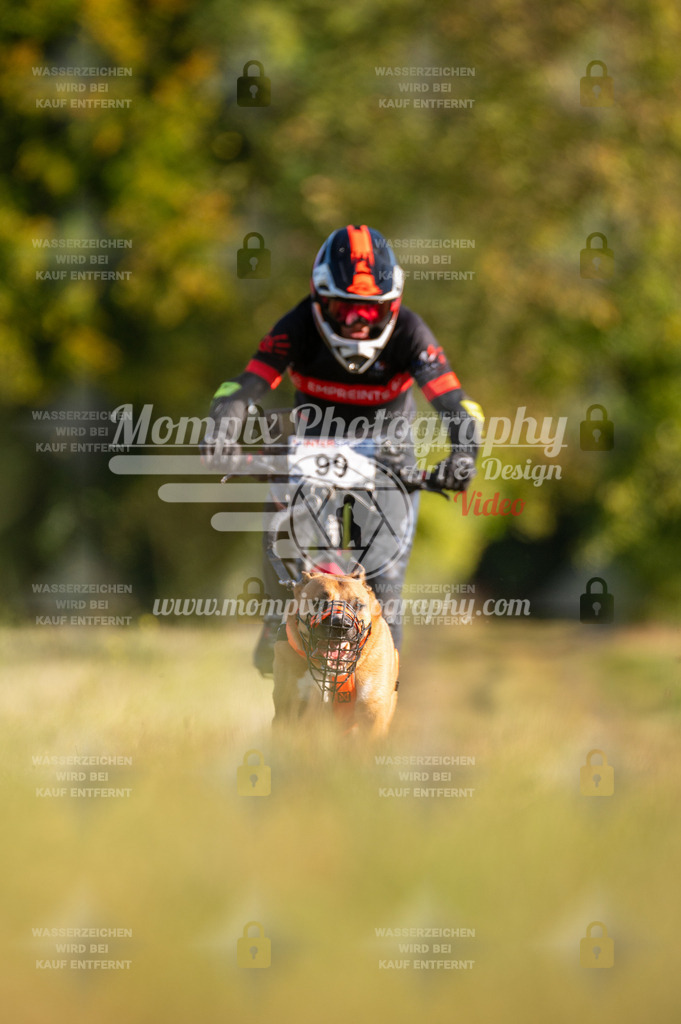 CDLBDB_15_10_2023_Dimanche-250 | PayLife