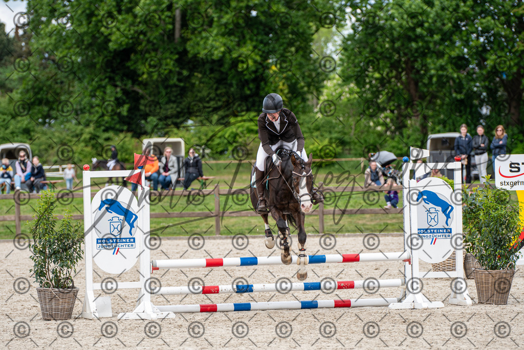 KPT_6308 | andre_photographic