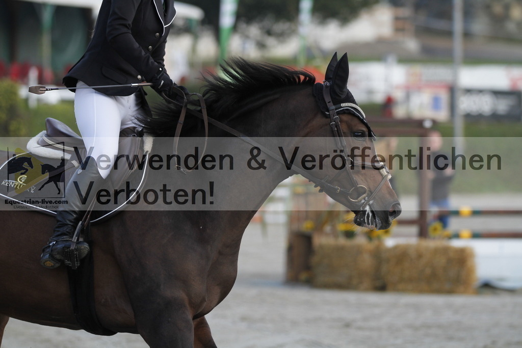 _MG_6841 | equestrian-live-com