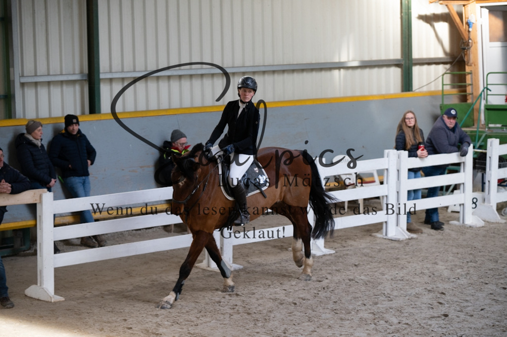 A7V01777 | Pferdefotograf