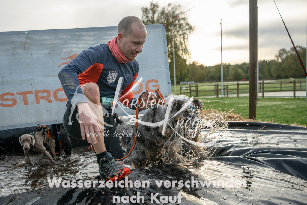 0934_ZZ95980 | kk-dogfotos