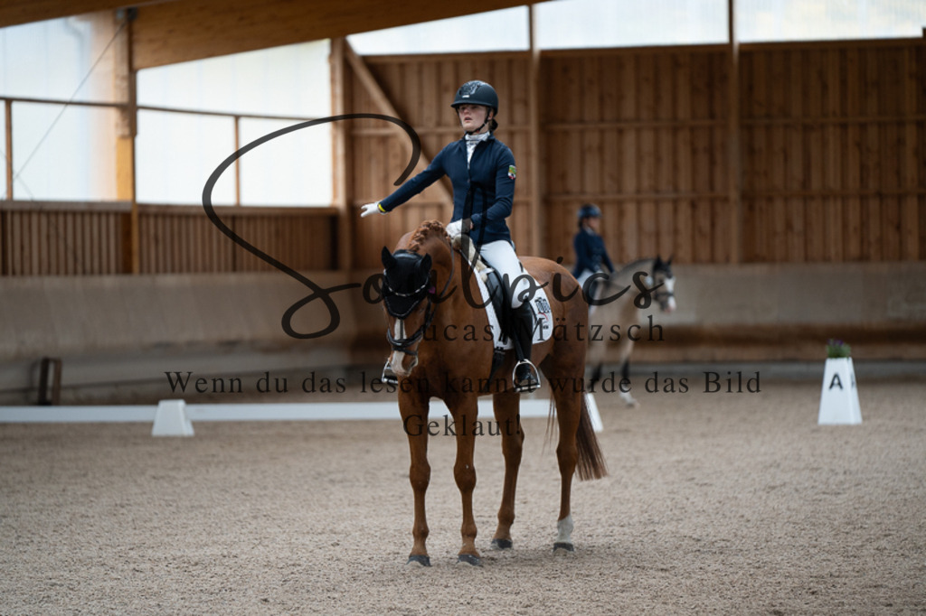 A7V02473 | Pferdefotograf